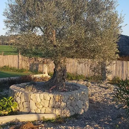 Homestay Finca Son Miro Montuiri (Mallorca)